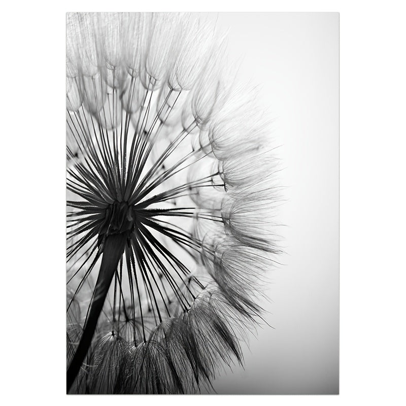 3pcs Black White Dandelion Flower Wall Poster