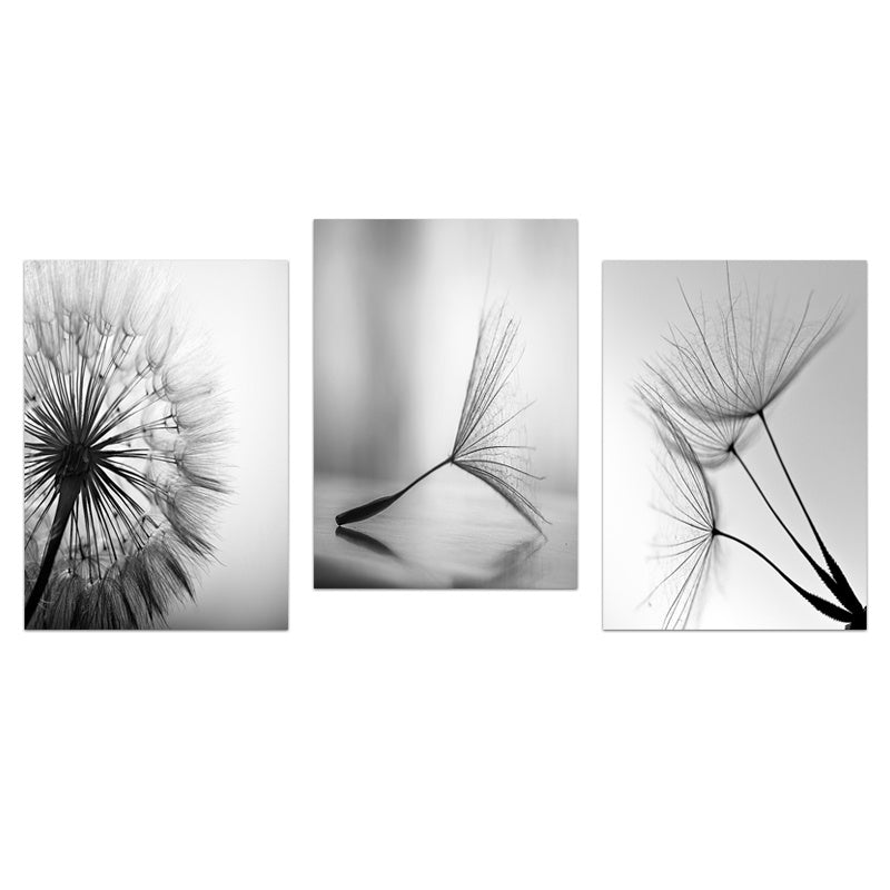 3pcs Black White Dandelion Flower Wall Poster