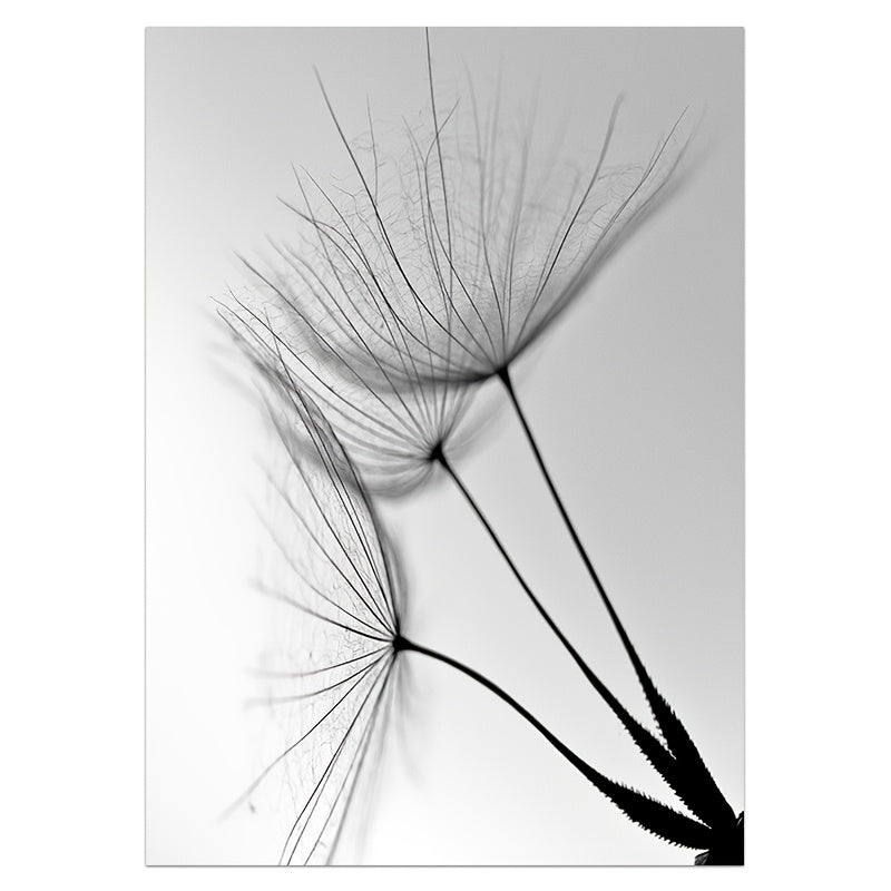 3pcs Black White Dandelion Flower Wall Poster